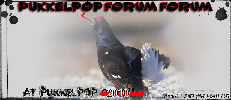 Pukkelpop Forum Forum